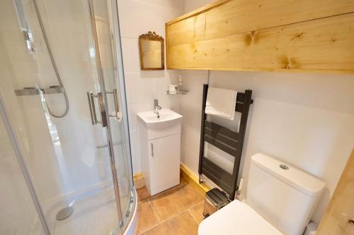 a bathroom with a shower and a toilet and a sink at Christmas Cottage, Isle of Wight in Godshill