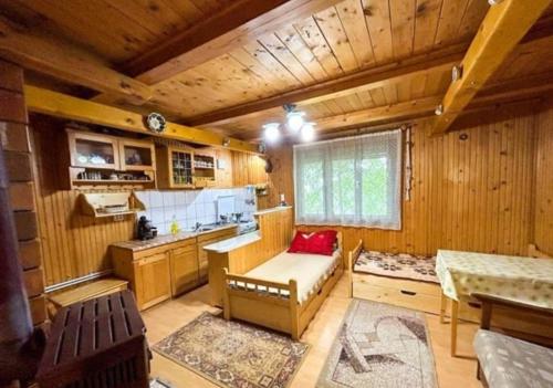 Η κουζίνα ή μικρή κουζίνα στο Kinga s vakantie huis