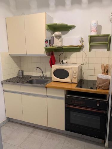 une cuisine avec un évier et un micro-ondes sur un comptoir dans l'établissement Coin de paradis aux Sanguinaires, à Ajaccio