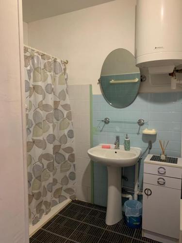 une salle de bain avec un lavabo et un rideau de douche dans l'établissement Coin de paradis aux Sanguinaires, à Ajaccio