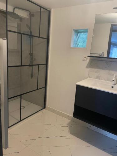 a bathroom with a sink and a glass shower at la Colombière in Longvic