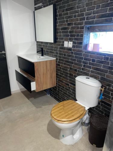 a bathroom with a toilet and a sink at la Colombière in Longvic