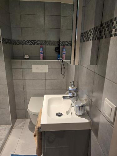 une petite salle de bain avec un lavabo et des toilettes dans l'établissement Studio in a townhouse, à Annecy