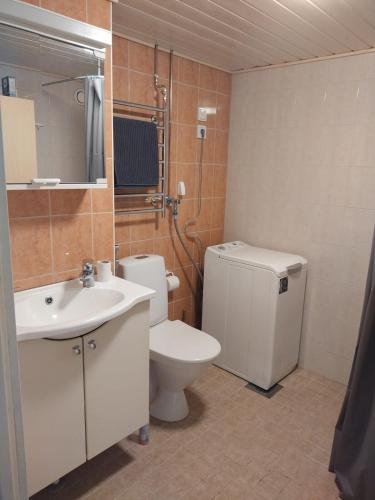 ein Badezimmer mit Toilette und Waschbecken in der Unterkunft Multsu apartment in Tampere