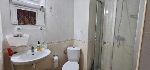 a bathroom with a toilet and a sink and a shower at Rainbow 2 studio 7 in Sunny Beach