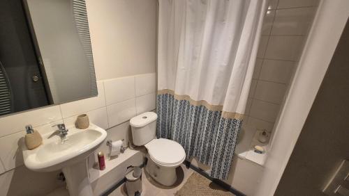 a small bathroom with a toilet and a sink at Departamento Corporativo IV Las Rastras ' San Miguel - RENTCOVAC - Factura Inmediata in Talca