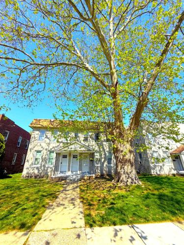 a house with a tree in front of it at Cozy Walk up King Bed fast WiFi in Wilmington