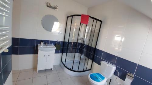 a bathroom with a shower and a toilet and a sink at Apartament na Górce in Mikołajki