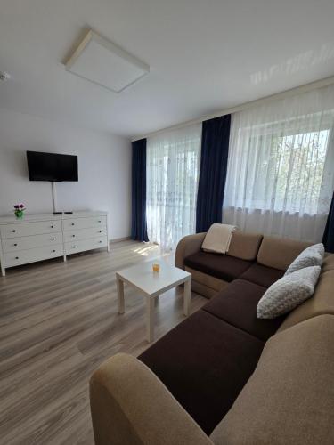 TV a/nebo společenská místnost v ubytování Apartamenty Zachodnia Przystań