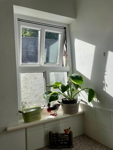 a window with two potted plants on a window sill at Kilmartin House - Georgian House on Private Estate and Farm in Greystones