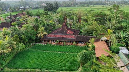 an aerial view of a house with a large green field at Ubud Art Resort in Ubud