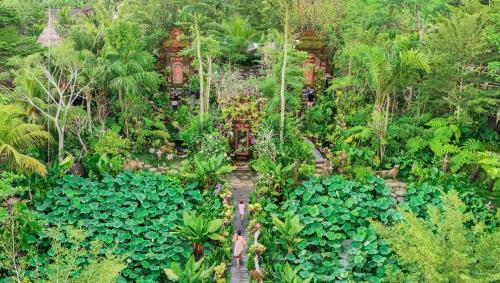 an aerial view of a garden with lots of plants at Ubud Art Resort in Ubud
