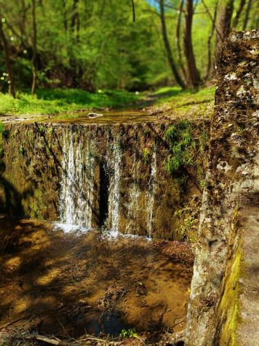 a small waterfall in the middle of a forest at PAMJA Guest House in Bărăşti