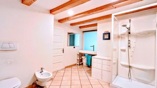 a bathroom with a toilet and a shower and a sink at IL CUORE glamour DEL FESTiVAL -100mq con JACUZZi- in Trento