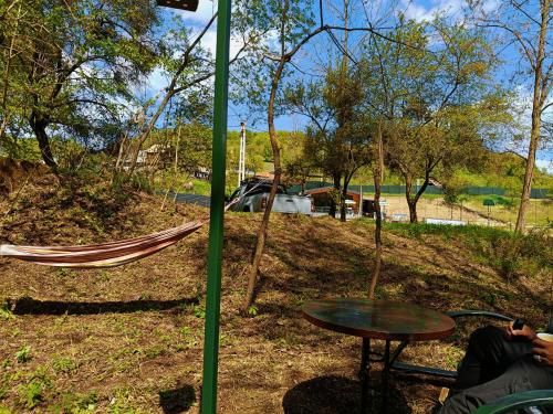 a table and a hammock in a park at PAMJA Guest House in Bărăşti