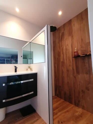 une salle de bain avec un lavabo et un miroir dans l'établissement Bienvenue chez nous, à Mouchamps