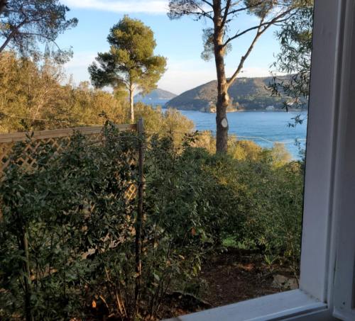 Φυσικό τοπίο κοντά σε αυτό το διαμέρισμα