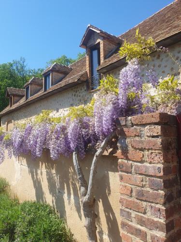 eine Glyzinienwand an einem Haus in der Unterkunft La Sablonnière de Rochefort in Rochefort-en-Yvelines