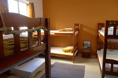 a room with three bunk beds and a window at Tirana Backpacker Hostel in Tirana