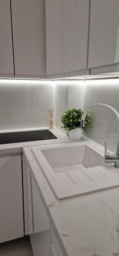 a white kitchen with a sink and a plant at Apartament P&P in Toruń