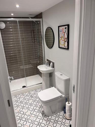 a bathroom with a toilet and a sink and a shower at Hop Loft, Huntingdon town centre - Free parking close by in Huntingdon