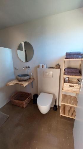 Oud-AdeにあるHut-Spot, comfortabel houten tuinhuisのトイレ、洗面台、鏡のあるバスルーム