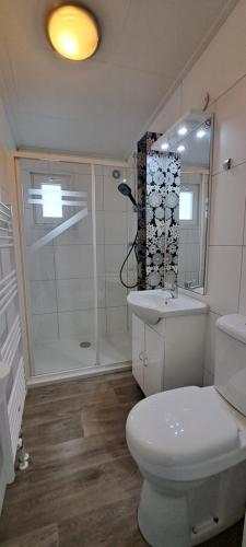 ein Badezimmer mit Toilette, Waschbecken und Dusche in der Unterkunft Chalet Hart van Zeeland met overdekt terras & natuur VP086 in Heinkensand