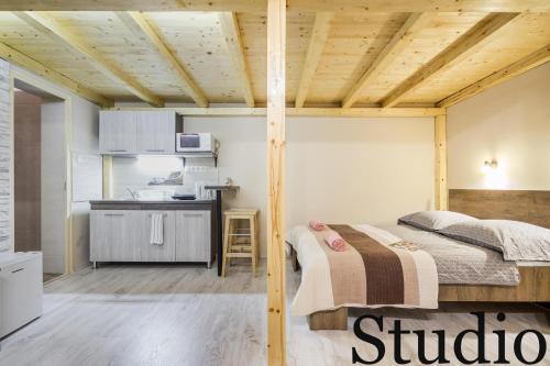 Kuchyňa alebo kuchynka v ubytovaní BpR Luminous Design Apartments
