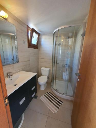 a bathroom with a shower and a toilet and a sink at Evita Studios and Apartments in Bali