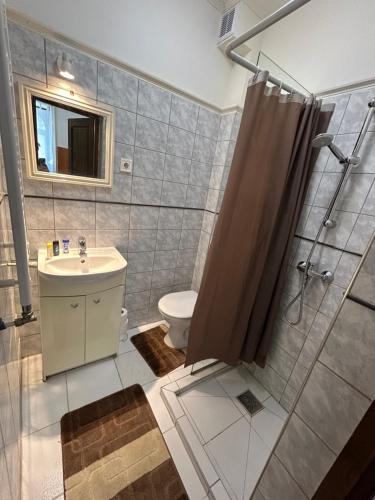 a bathroom with a shower and a sink and a toilet at Velez Ház in Budapest