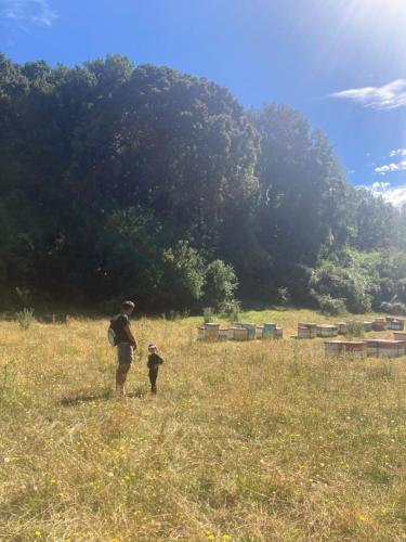 a man and a child standing in a field at Antuquelen Lodge Cabañas in Frutillar
