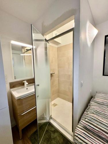 une salle de bain avec douche et lavabo dans l'établissement Charmant T2 proche plages, climatisation et balcon, à Six-Fours-les-Plages