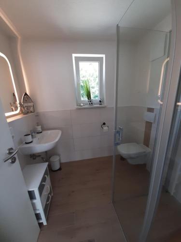 a bathroom with a shower and a sink and a toilet at Küstenwind in Graal-Müritz