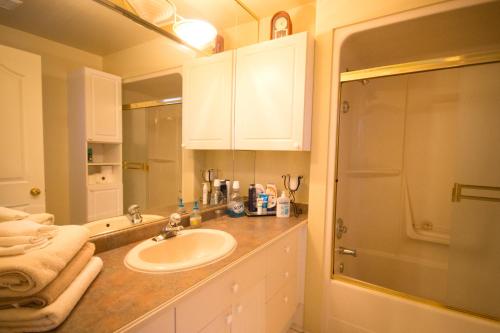 ein Bad mit einem Waschbecken und einer Dusche in der Unterkunft Eagle Close Executive B&B in Prince Rupert