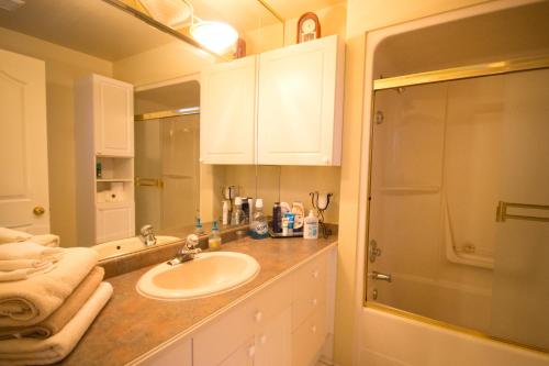 a bathroom with a sink and a shower at Eagle Close Executive B&B in Prince Rupert