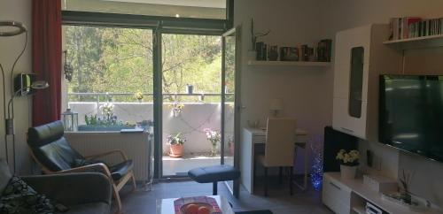 a living room with a television and a table and a window at Urlaub mit Sauna und Pool ist cool! in Bad Harzburg