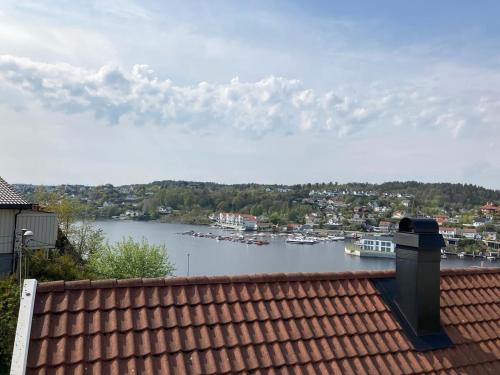 a view of a river from the roof of a house at Charming studio apartment in Skarvedalen