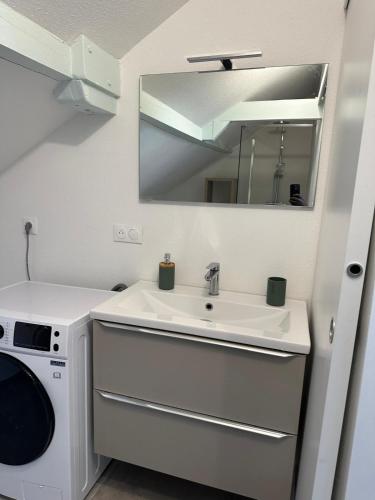 une salle de bain avec un lavabo et une machine à laver dans l'établissement appartement centre mulhouse, à Mulhouse