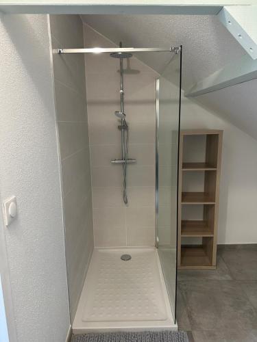une douche avec une porte vitrée dans une pièce dans l'établissement appartement centre mulhouse, à Mulhouse