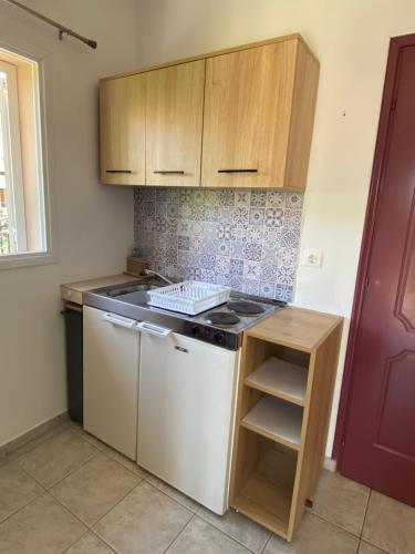 a kitchen with a stove and a white dishwasher at Annalisa Studio & Apartments in Skala Kefalonias