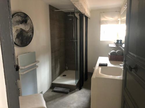 une petite salle de bain avec un lavabo et une douche dans l'établissement Appartement ciel de fugeres, au Puy-en-Velay