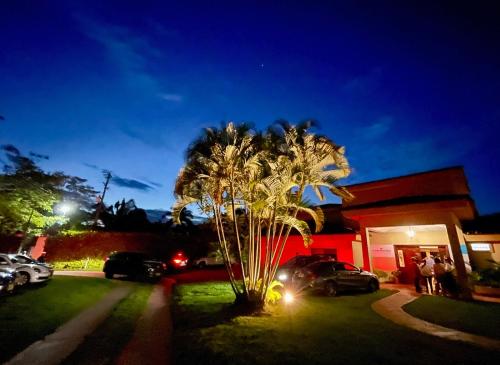 a palm tree in front of a building at night at La Casa de los Libros in Pereira