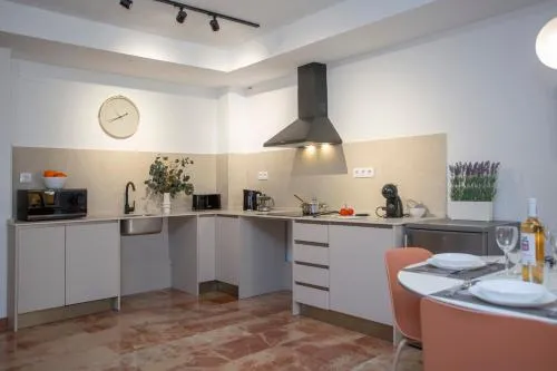 SingularStays Palau de la Musica Lofts photo 45
