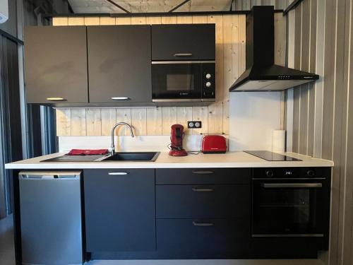 une cuisine avec un évier et une cuisinière four supérieur dans l'établissement Le Garage, à Luz-Saint-Sauveur