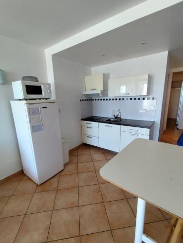 La cuisine est équipée d'un réfrigérateur blanc et d'un four micro-ondes. dans l'établissement Naturiste Cap d'Agde Port Ambonne 239, au Cap d'Agde