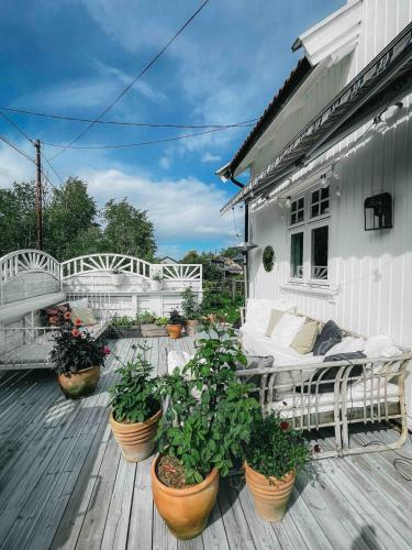 a porch with potted plants on a wooden deck at Unikt skipperhus med høner i hagen in Hvaler