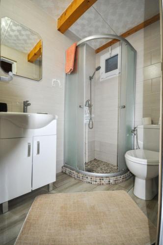 a bathroom with a shower with a toilet and a sink at SmallGrin Ada Bojana in Ulcinj