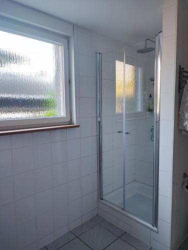 une salle de bain avec une douche avec une porte vitrée dans l'établissement Le jardin d'Horace o Im Garten von Horaz, à Vogelsheim