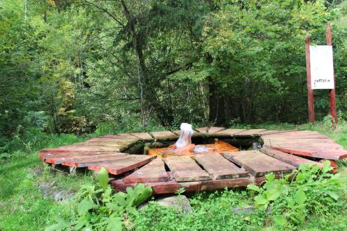 a bird statue sitting on top of a fountain at Kiruly Gyöngye in Băile Chirui