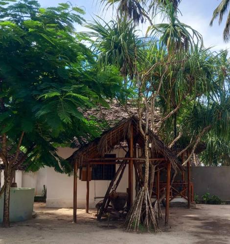a thatch roofed hut in front of a tree at Karibu Paradaizi in Michamvi